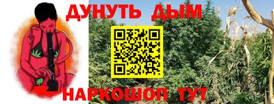 метадон Кингисепп