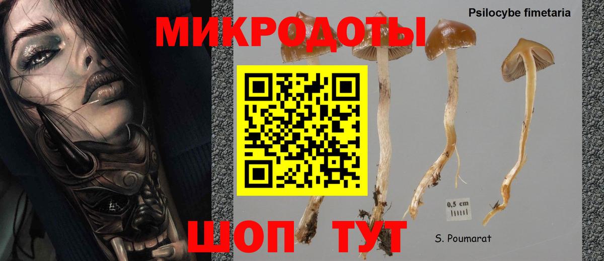 Красноуфимск  Псилоцибиновые грибы прущие грибы  Вход с VPN 